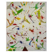 Marco José Marin Alberghina "Emotional fly"