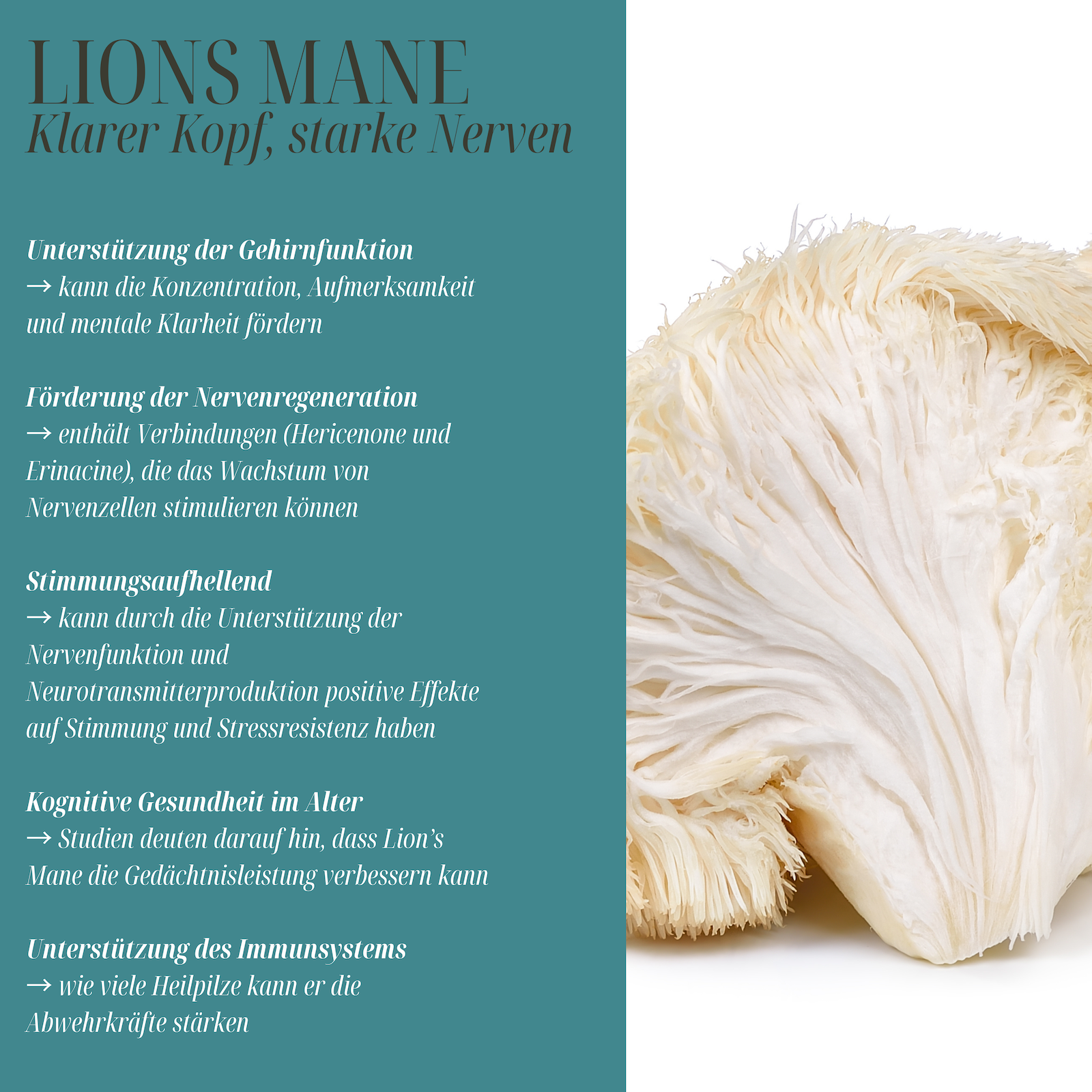 NeuroHericium Lions Mane + Ashwagandha Extrakt