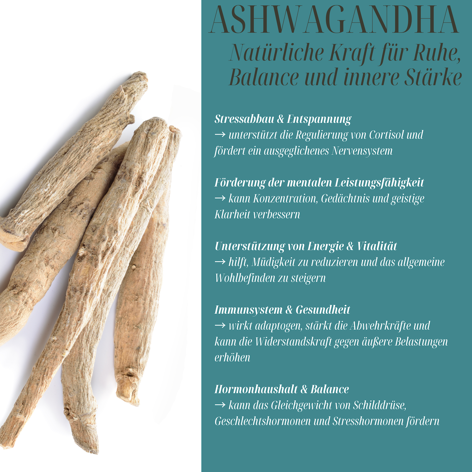 NeuroHericium Lions Mane + Ashwagandha Extrakt